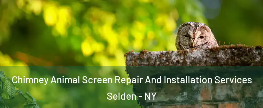  Chimney Animal Screen Repair And Installation Services Selden - NY