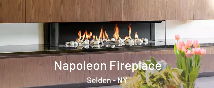  Napoleon Fireplace Selden - NY